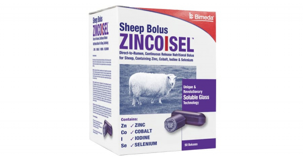 Zincoisel Sheep Bolus
