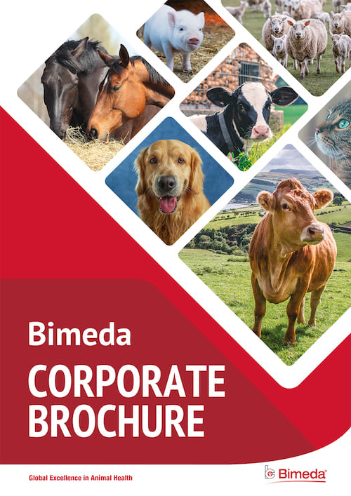 Bimeda Corporate Brochure title