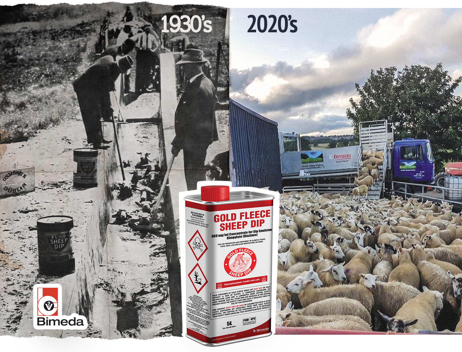 GoldFleeceUK2020 FarmingLife