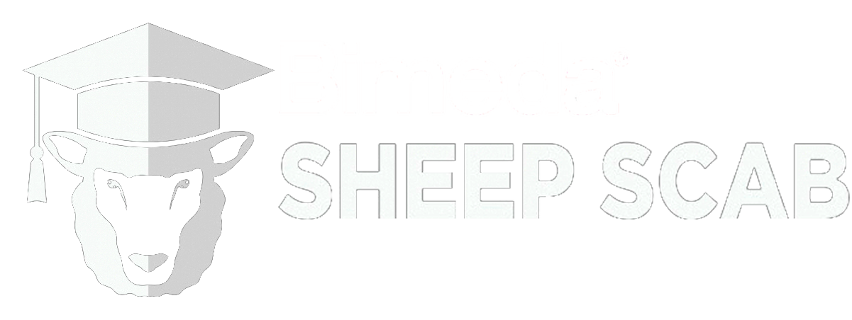 sheep scab