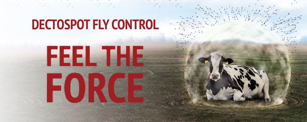 Feel the force of dectospot fly control