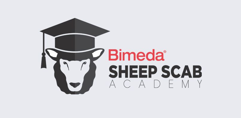 sheep scab academy 