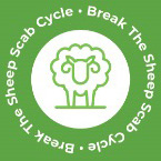 break the cycle Logo