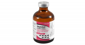Oxytobel